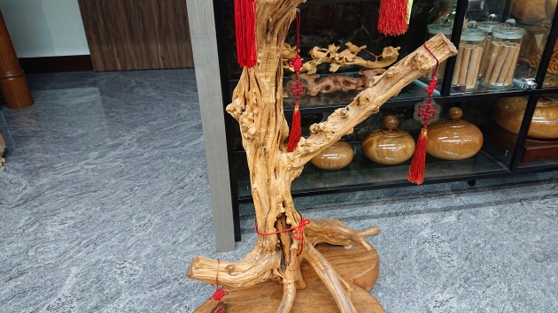 七里香-財樹 3